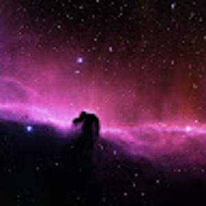 Meet your Posher, Katlyn